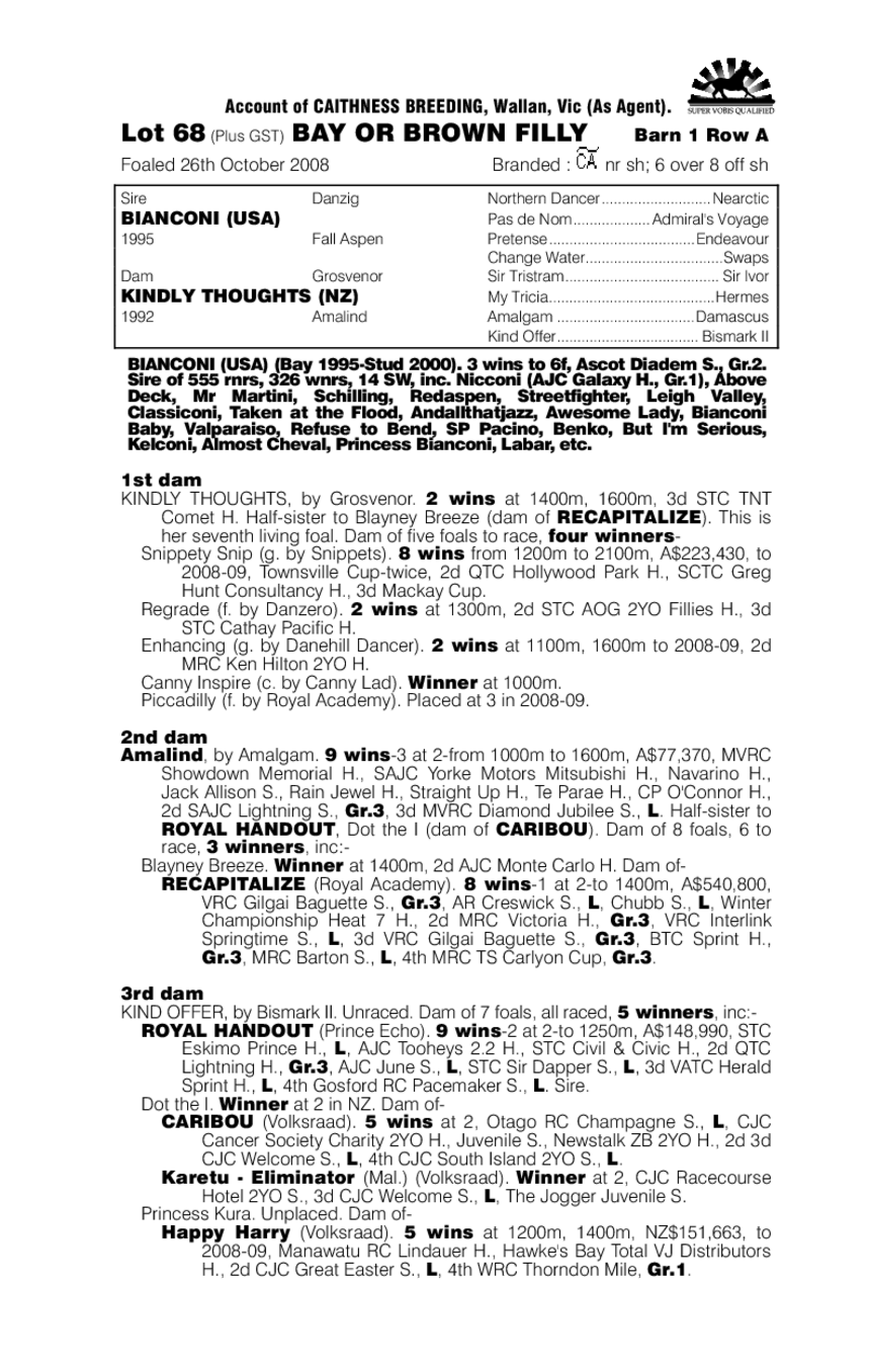 Dehavilland Diva - pedigree