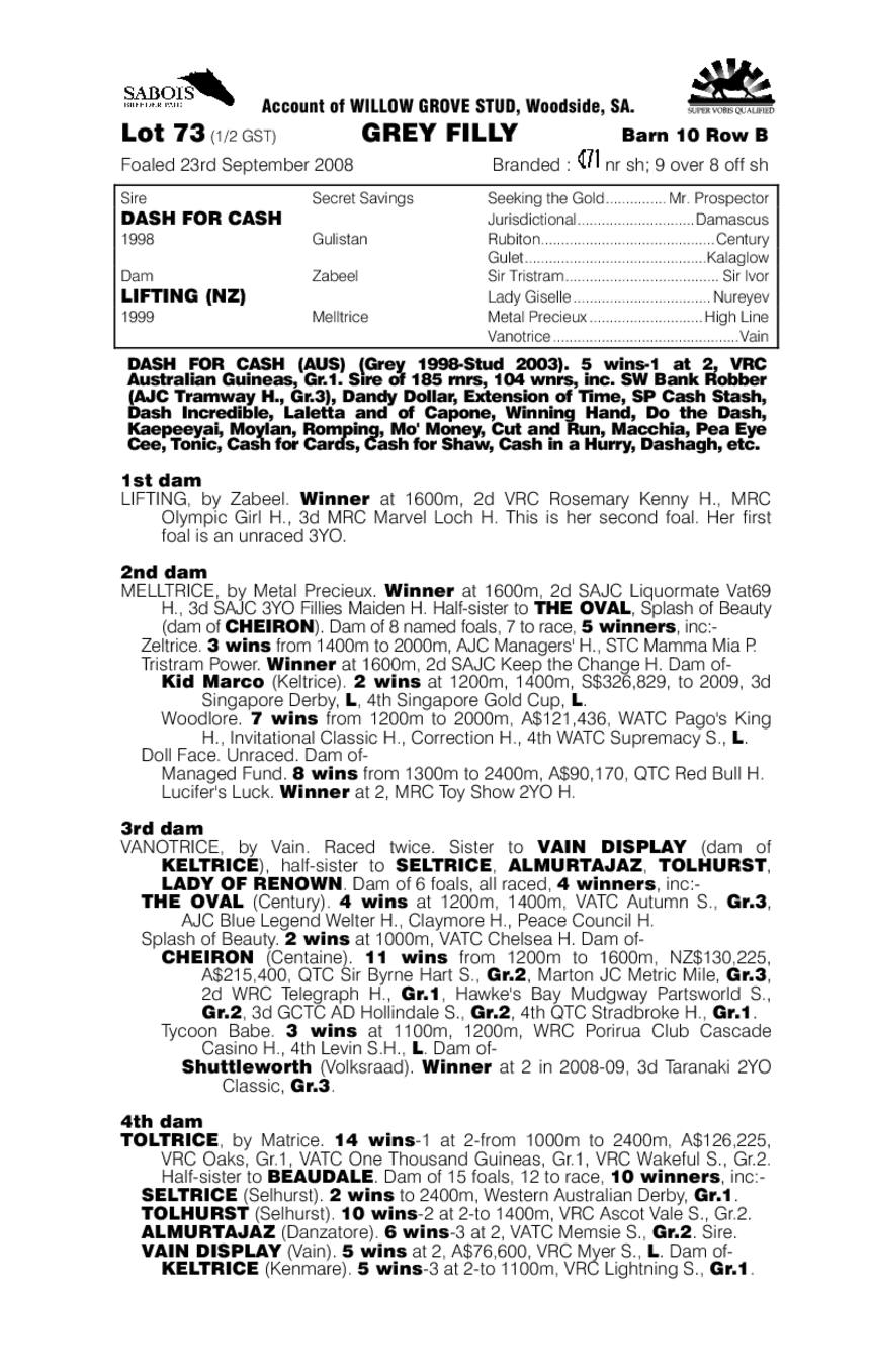 Silver Coin - pedigree