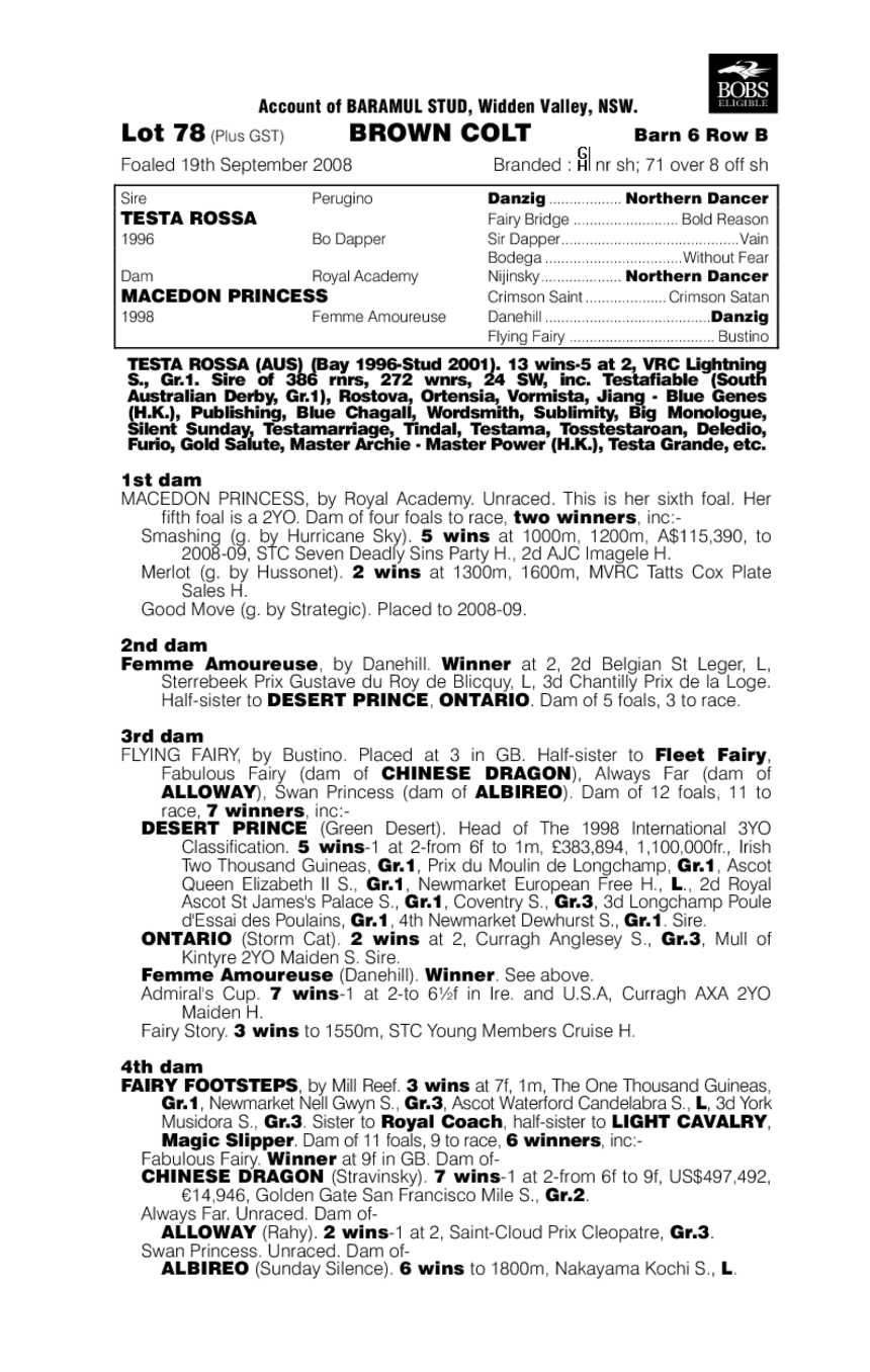 Testa Rossa (AUS) / Macedon Princess (AUS) - pedigree