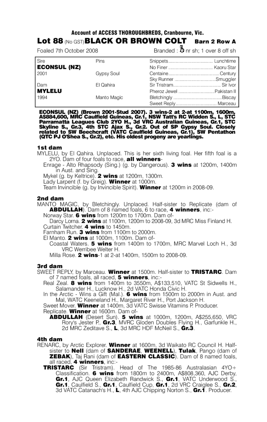 Wicked Romeo - pedigree