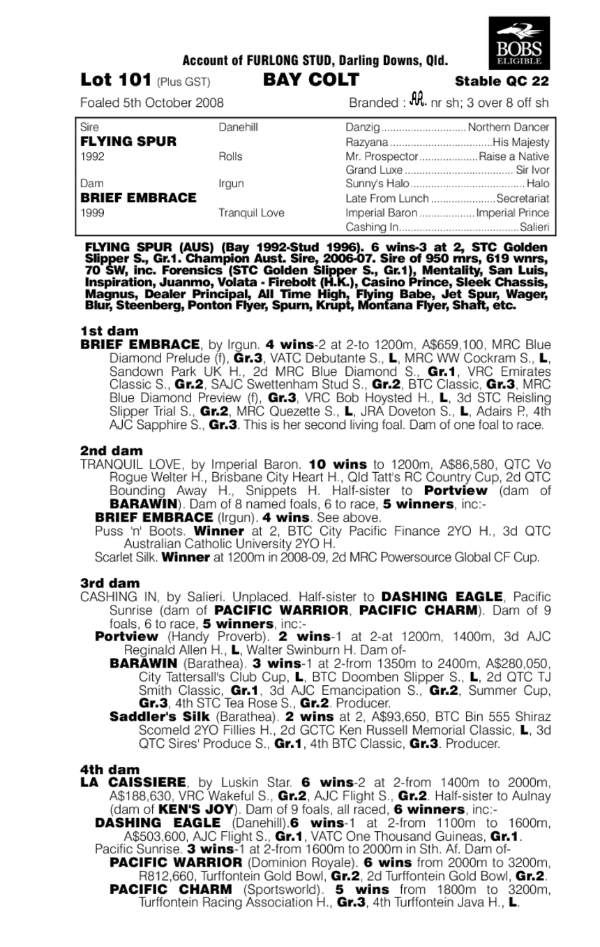 Spurtastic - pedigree