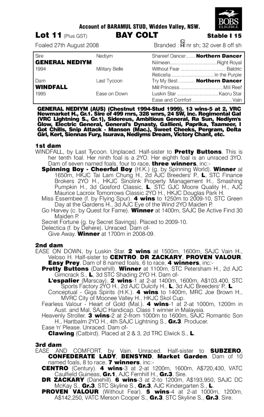 Bear Hero - pedigree