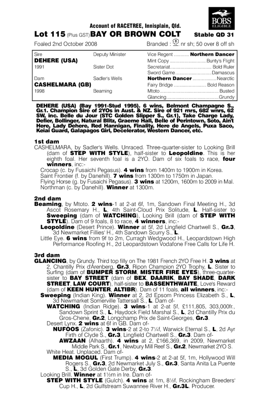 Here's De Cash - pedigree