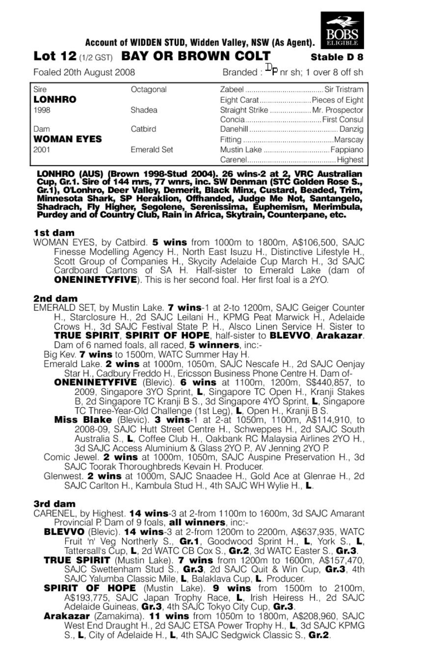 Big Clint - pedigree