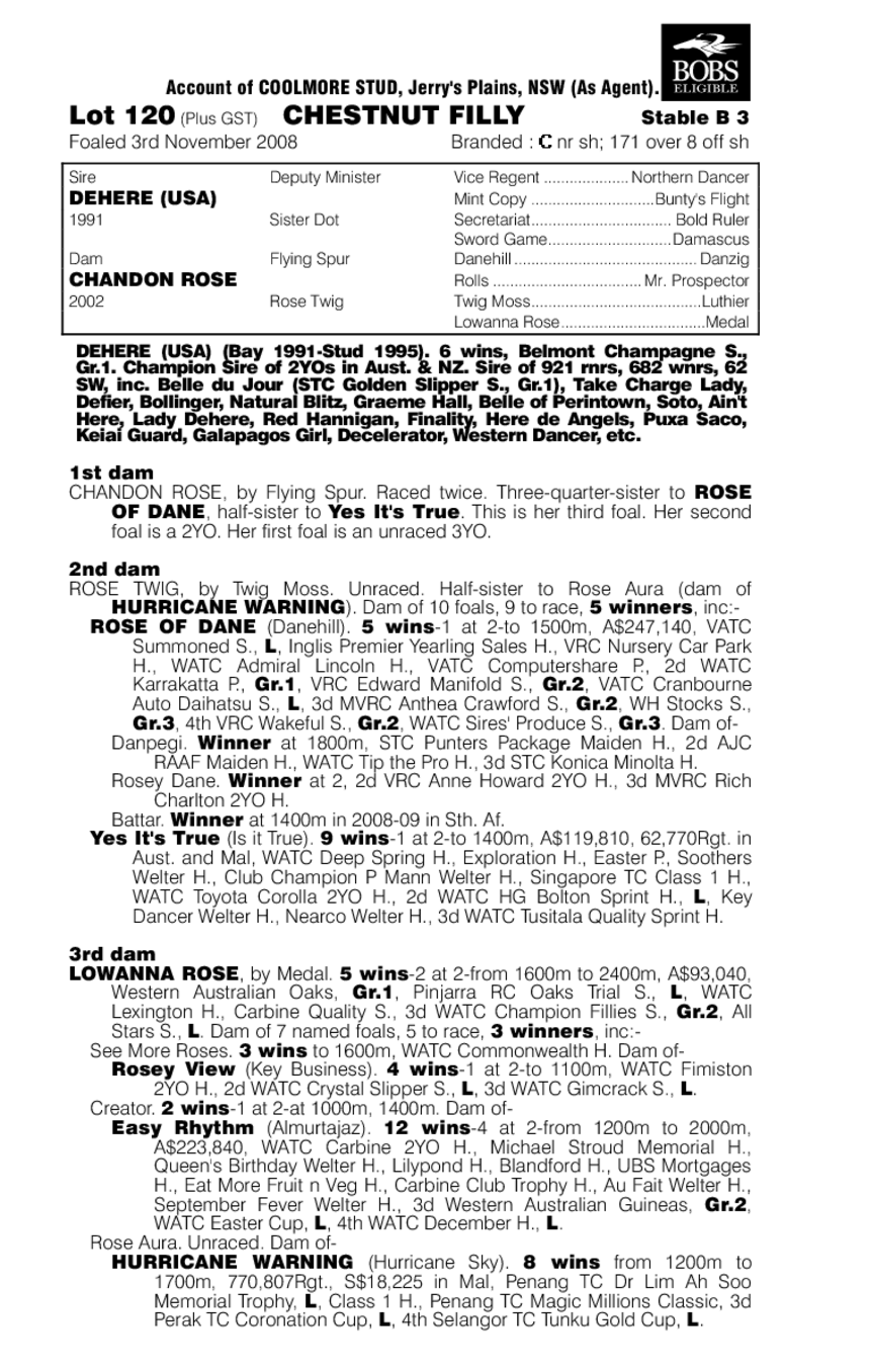 Dehere I Am - pedigree