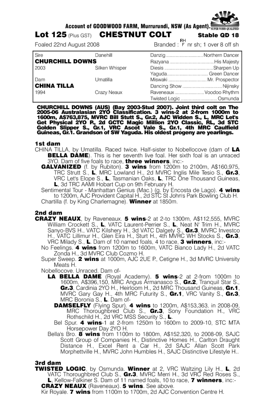 China Cheers - pedigree