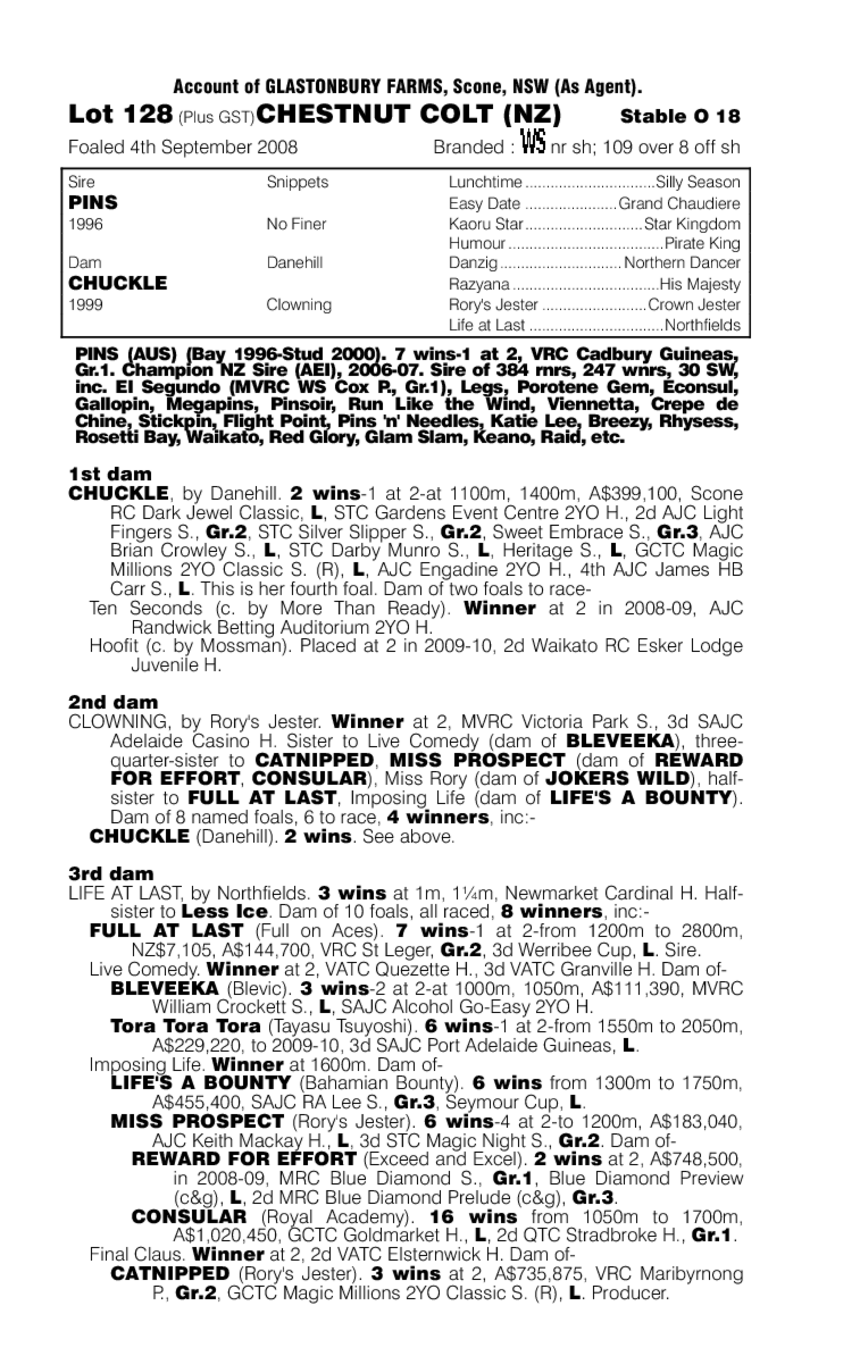 Pintuck (NZ) - pedigree