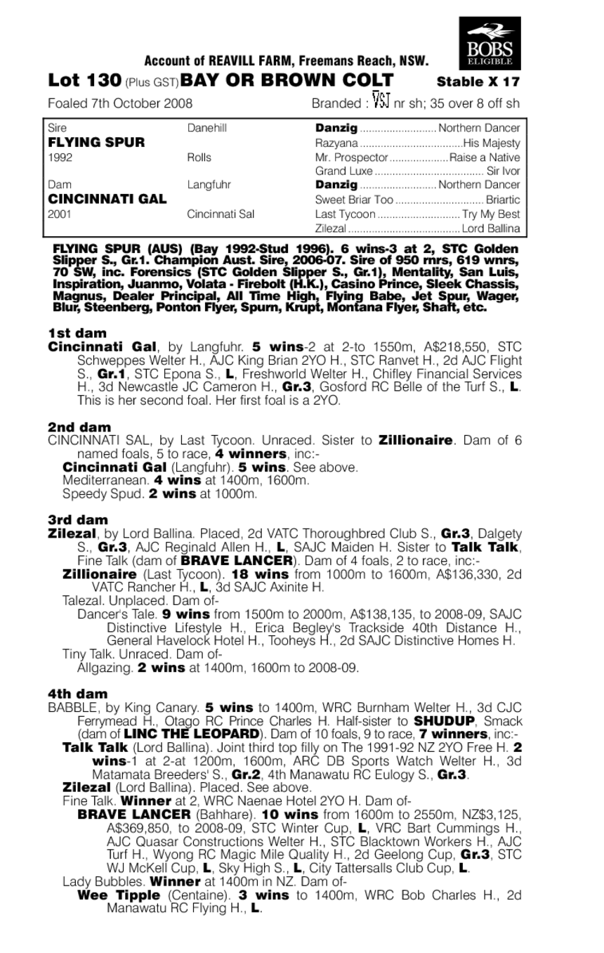 Steel To The Heel - pedigree