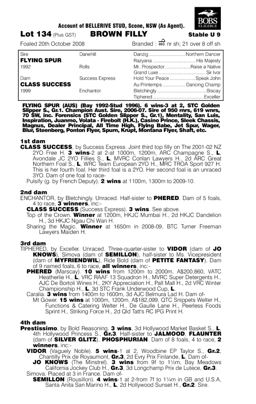 Accomplishment - pedigree