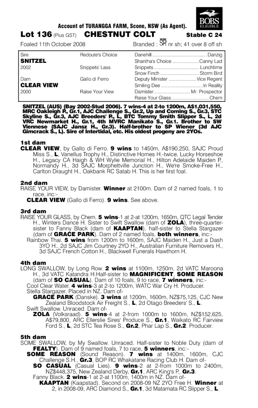 Claro Vista - pedigree