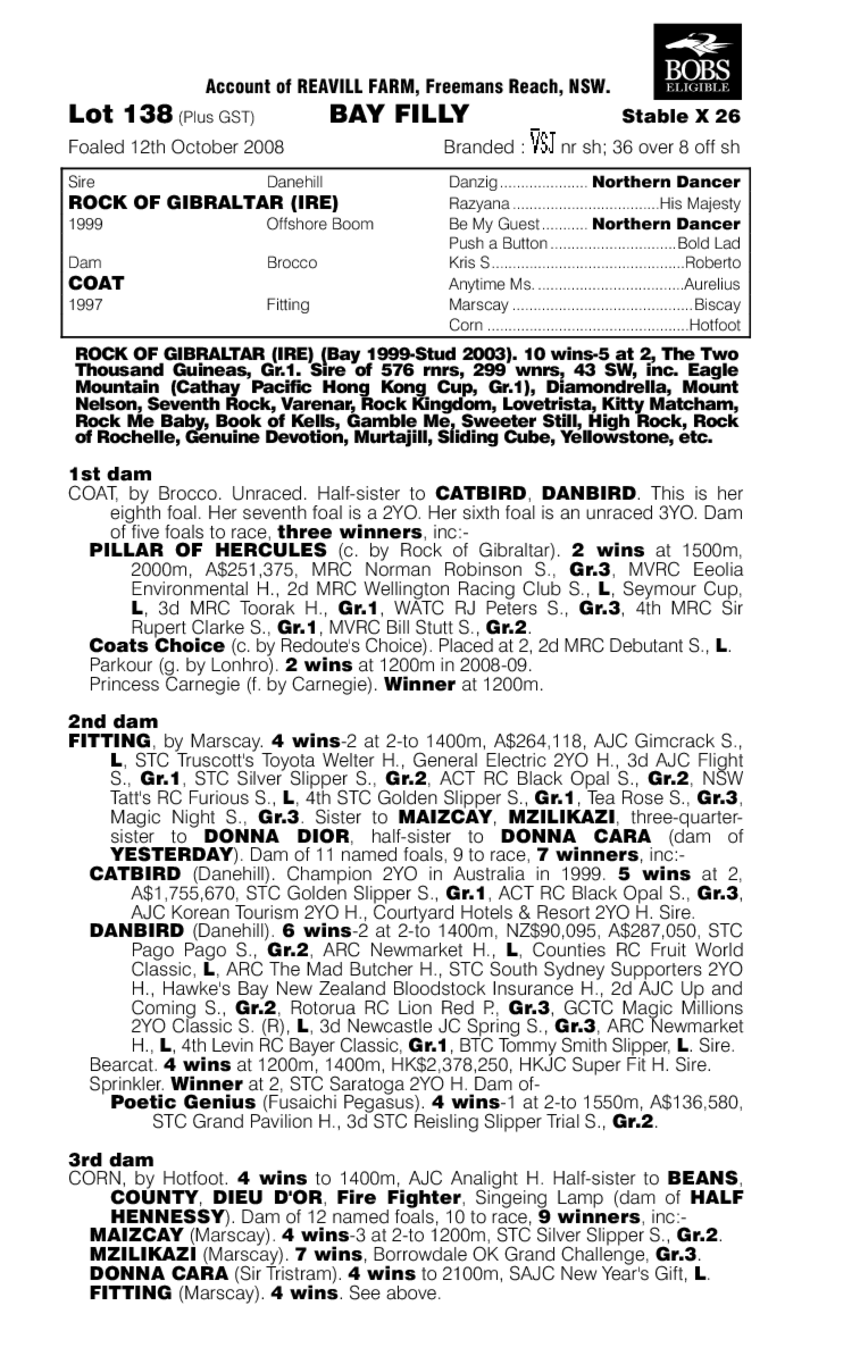 Miss Chaqueta - pedigree