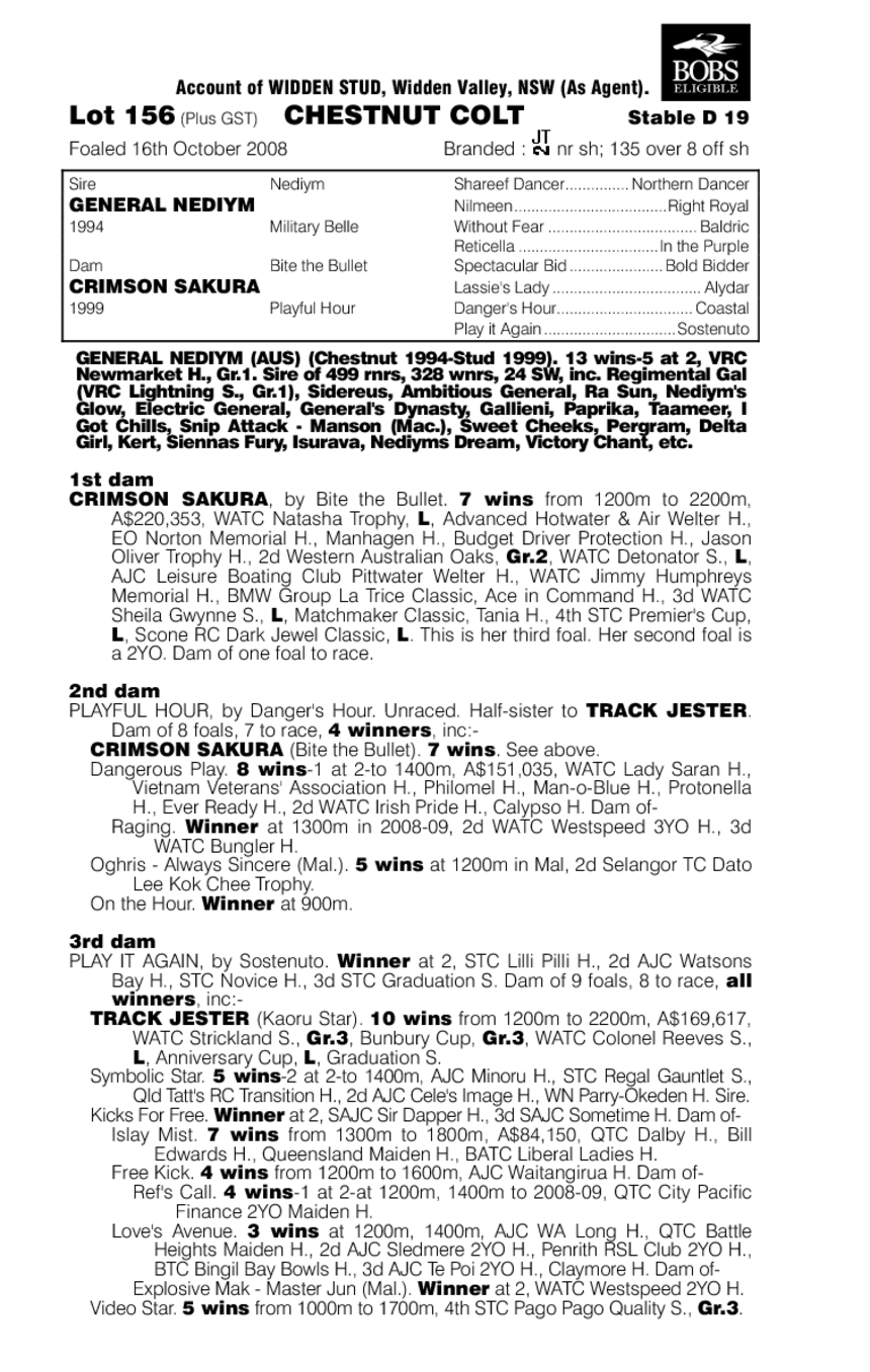 Attorney General - pedigree