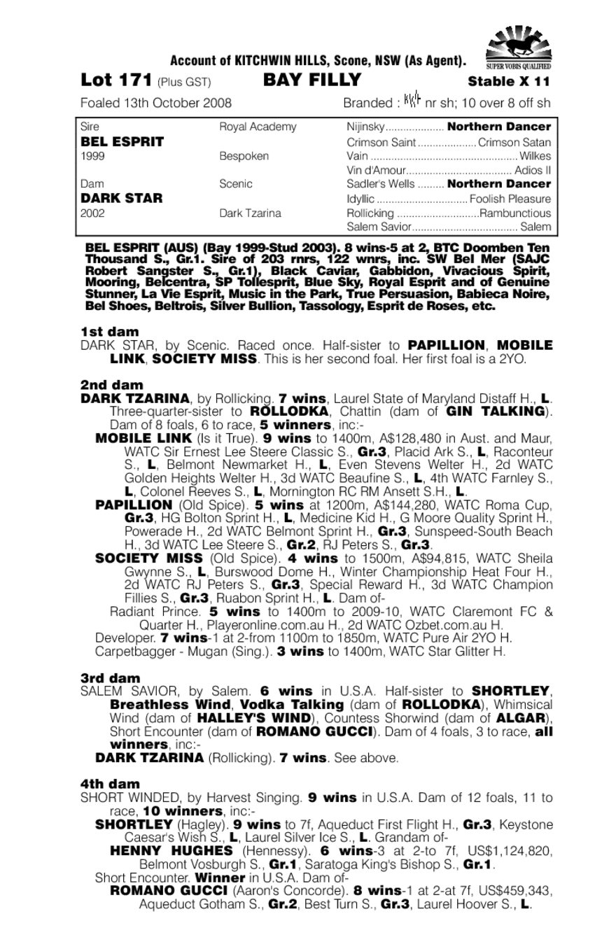 Full Of Surprises - pedigree