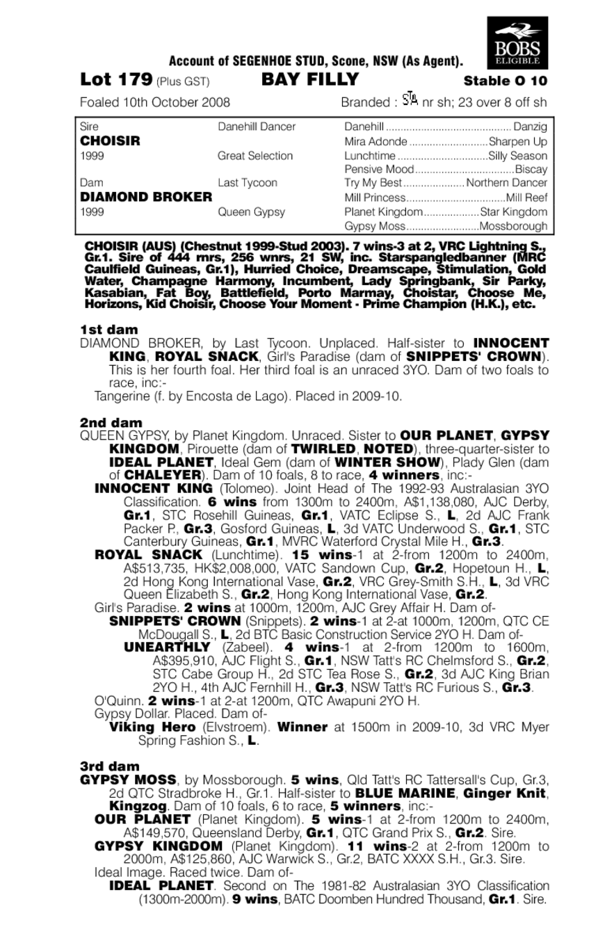 On the Bid (AUS) - pedigree