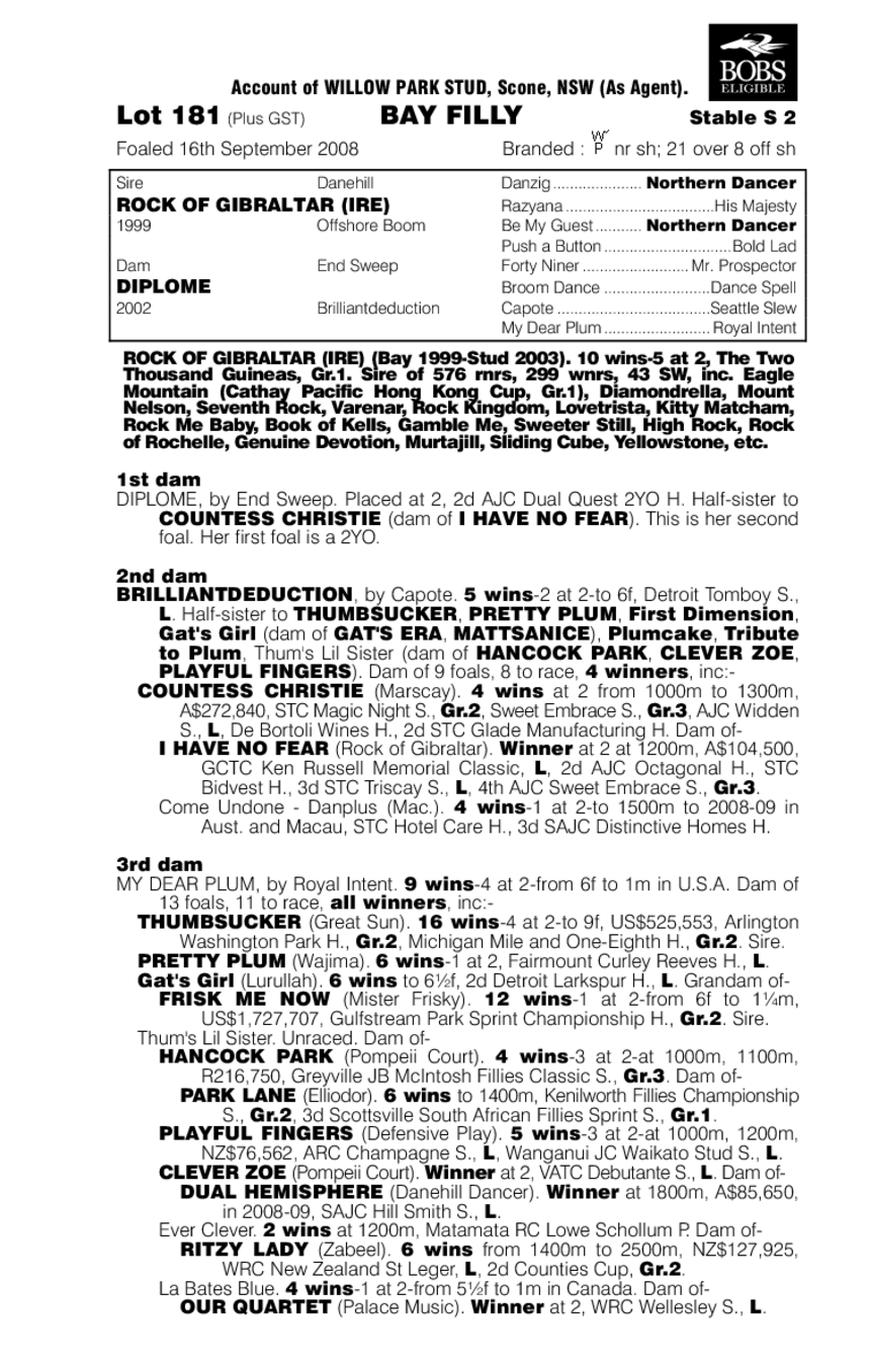 Ambassadora - pedigree