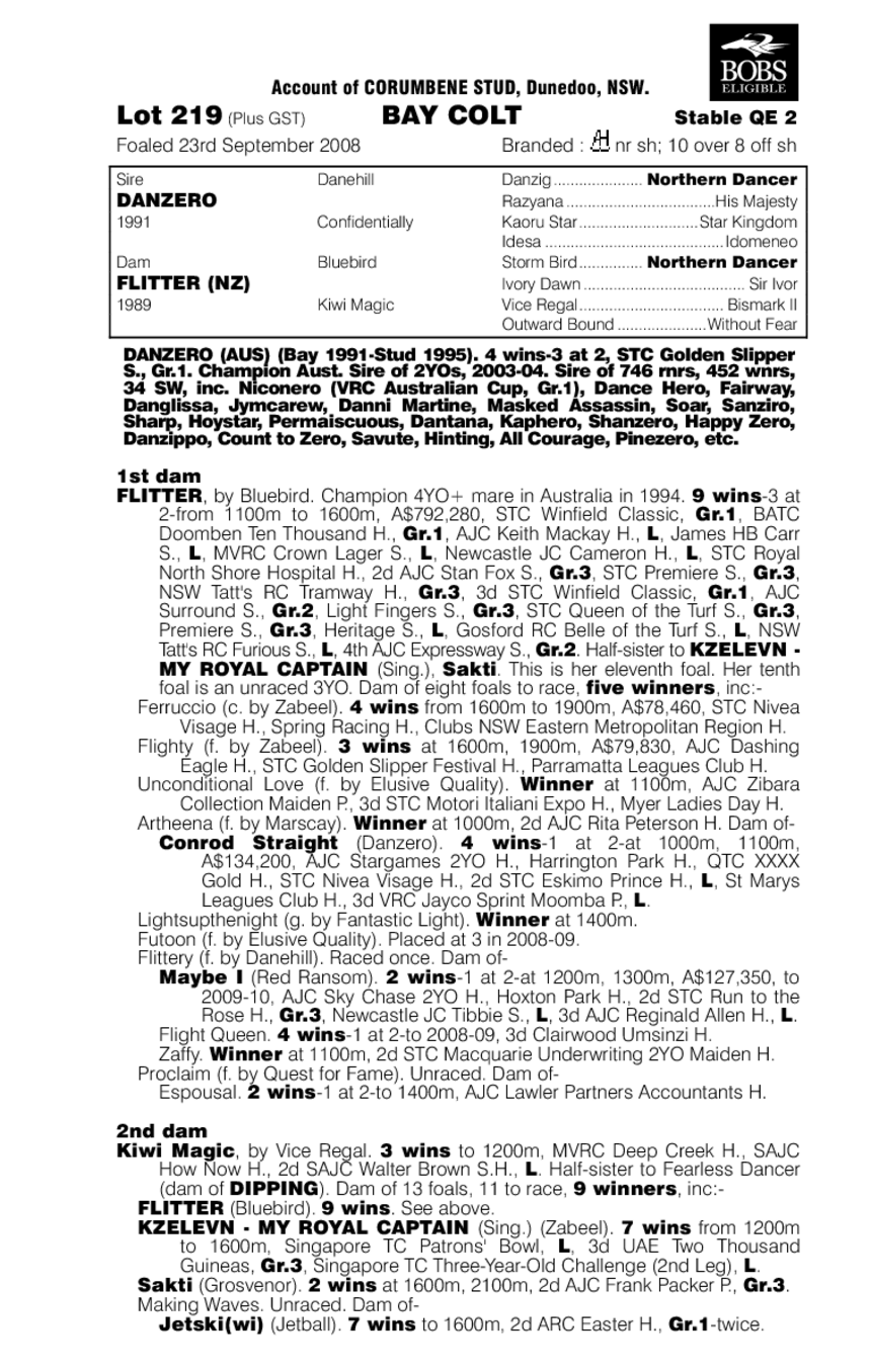 King Zero - pedigree