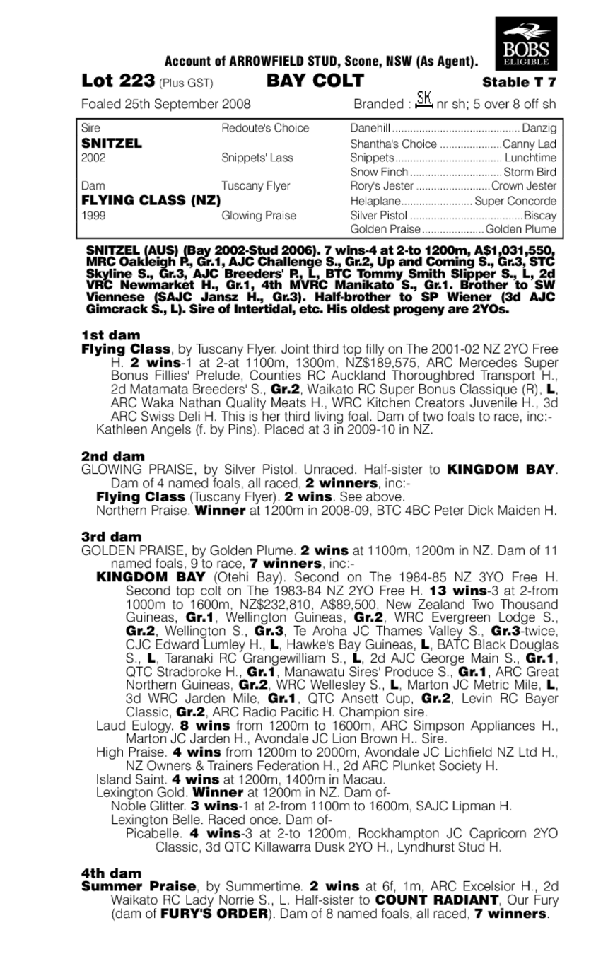 First Class Flyer - pedigree