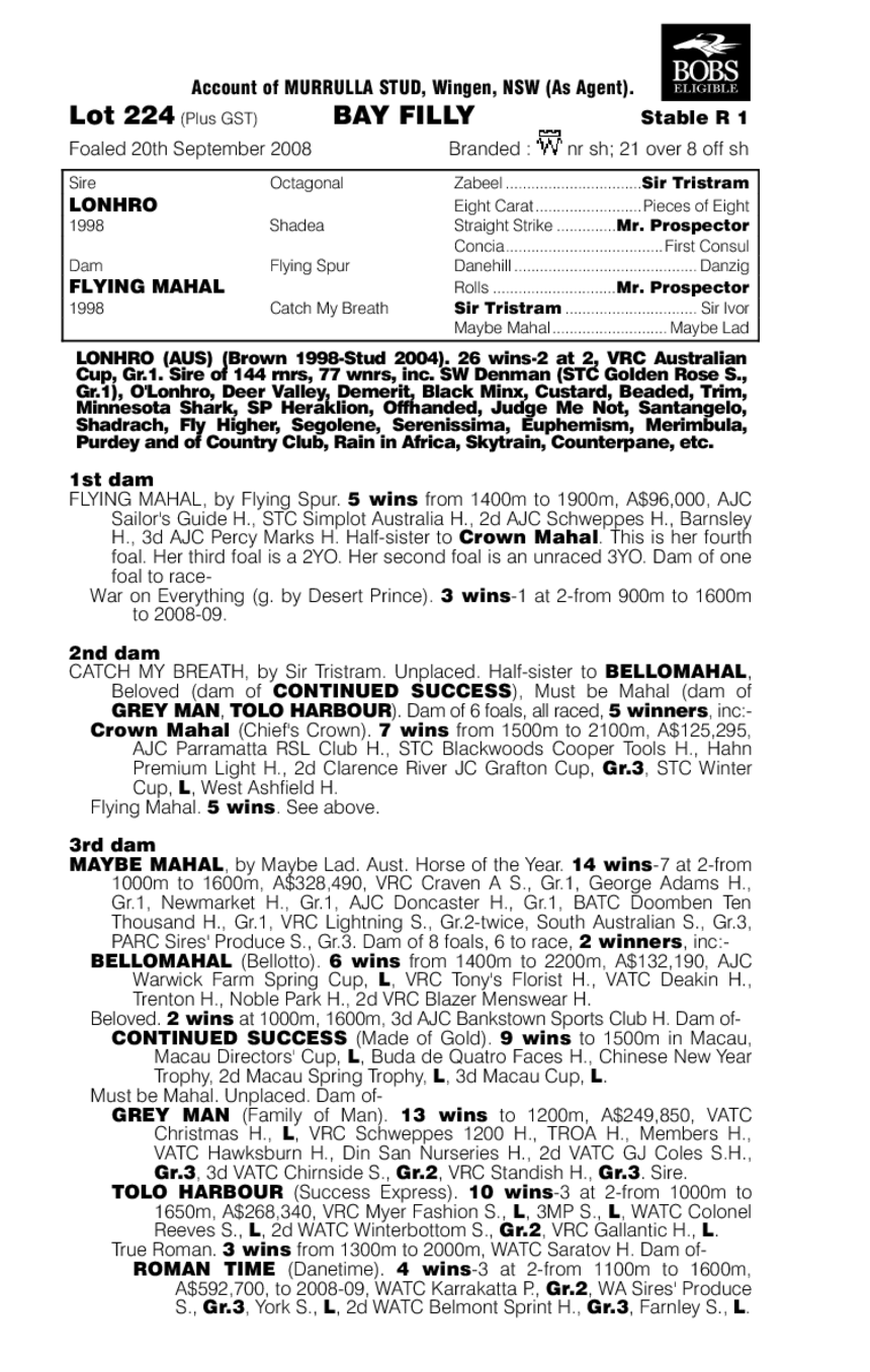 Allyouneedislove - pedigree