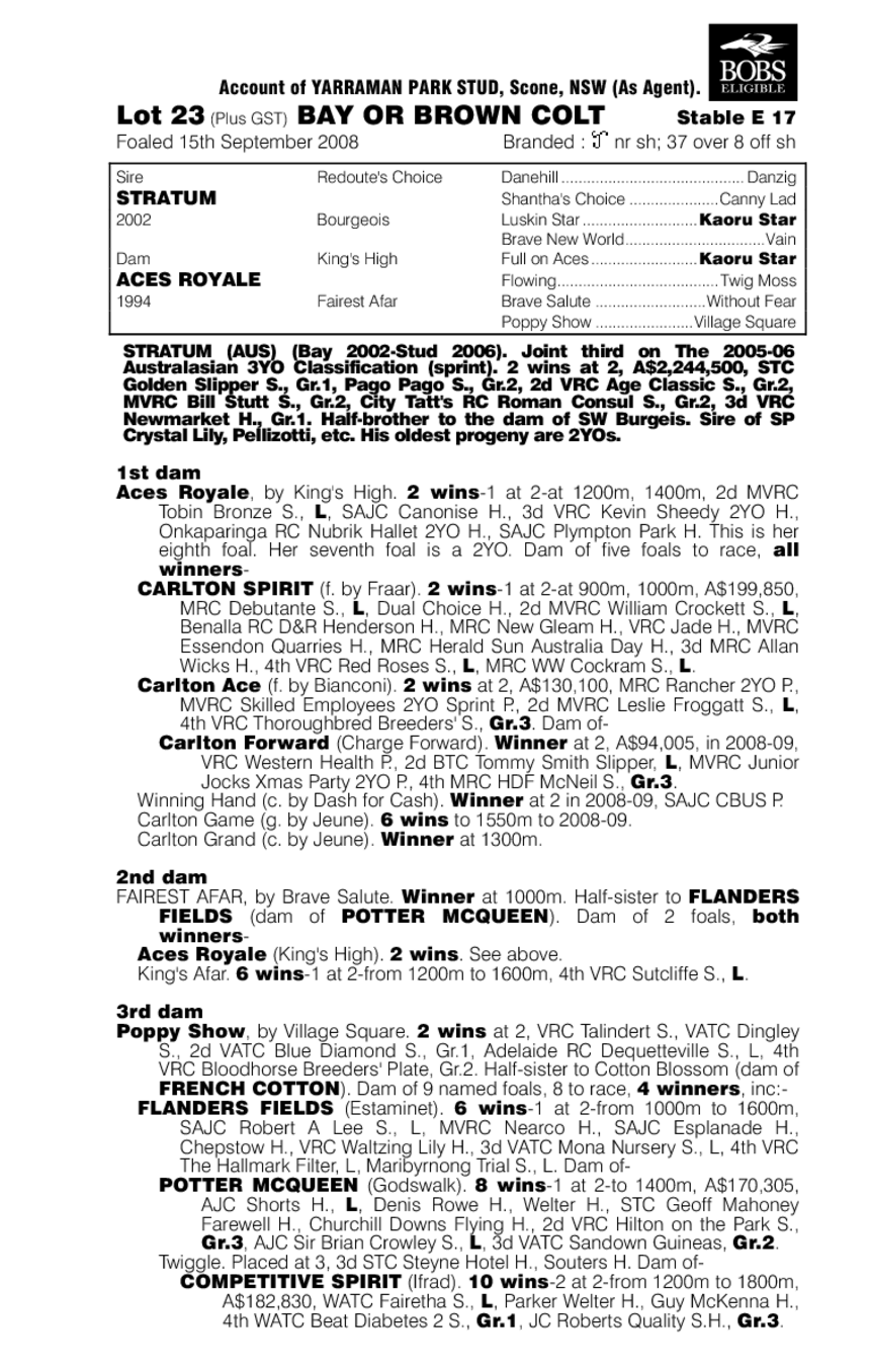 Stratumsphere - pedigree