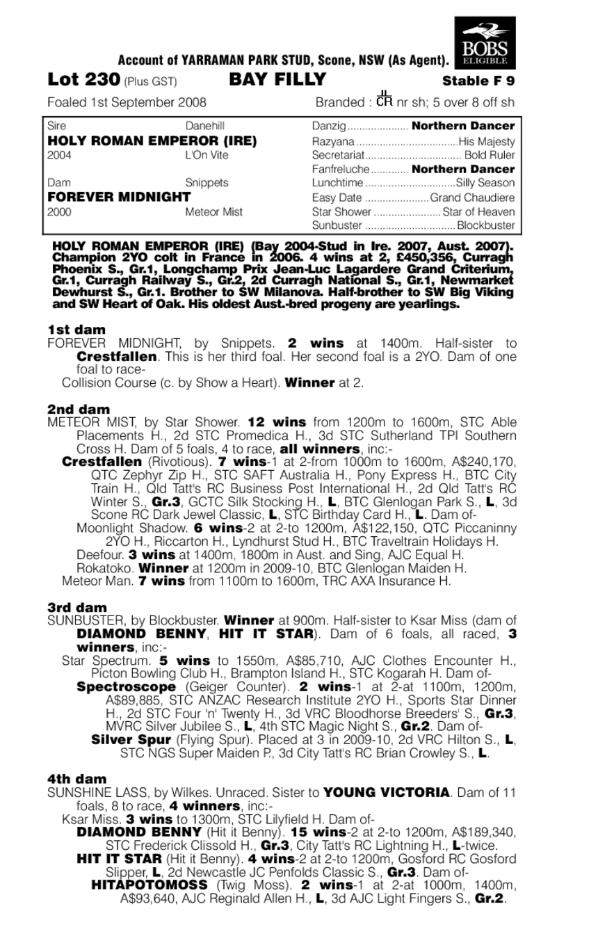 Midnight Reigns - pedigree