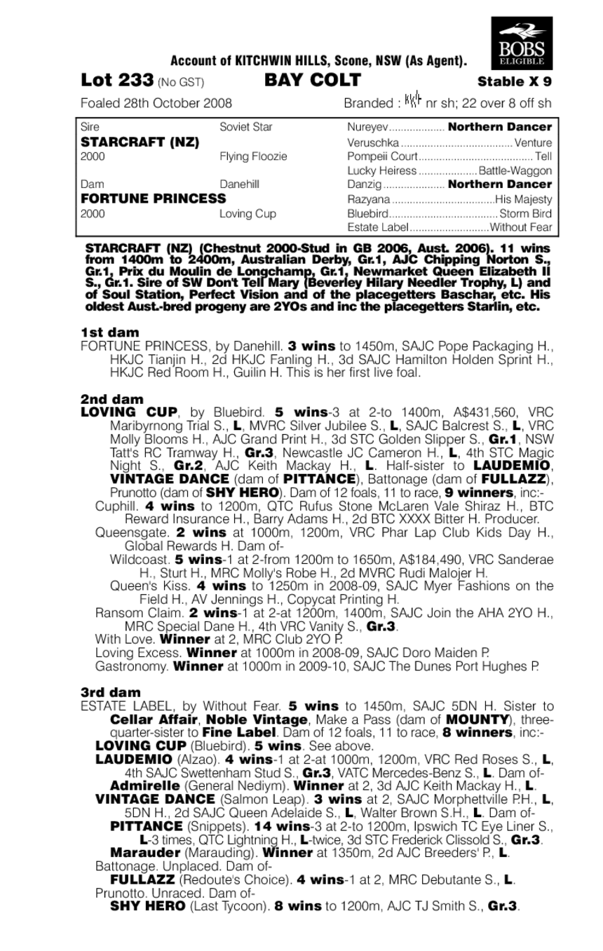 Speed Challenger - pedigree