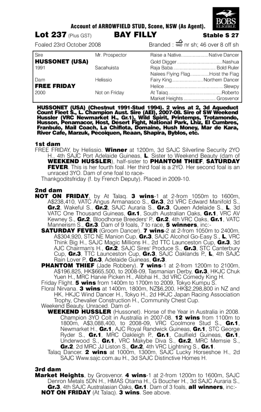 Friday Hussy - pedigree