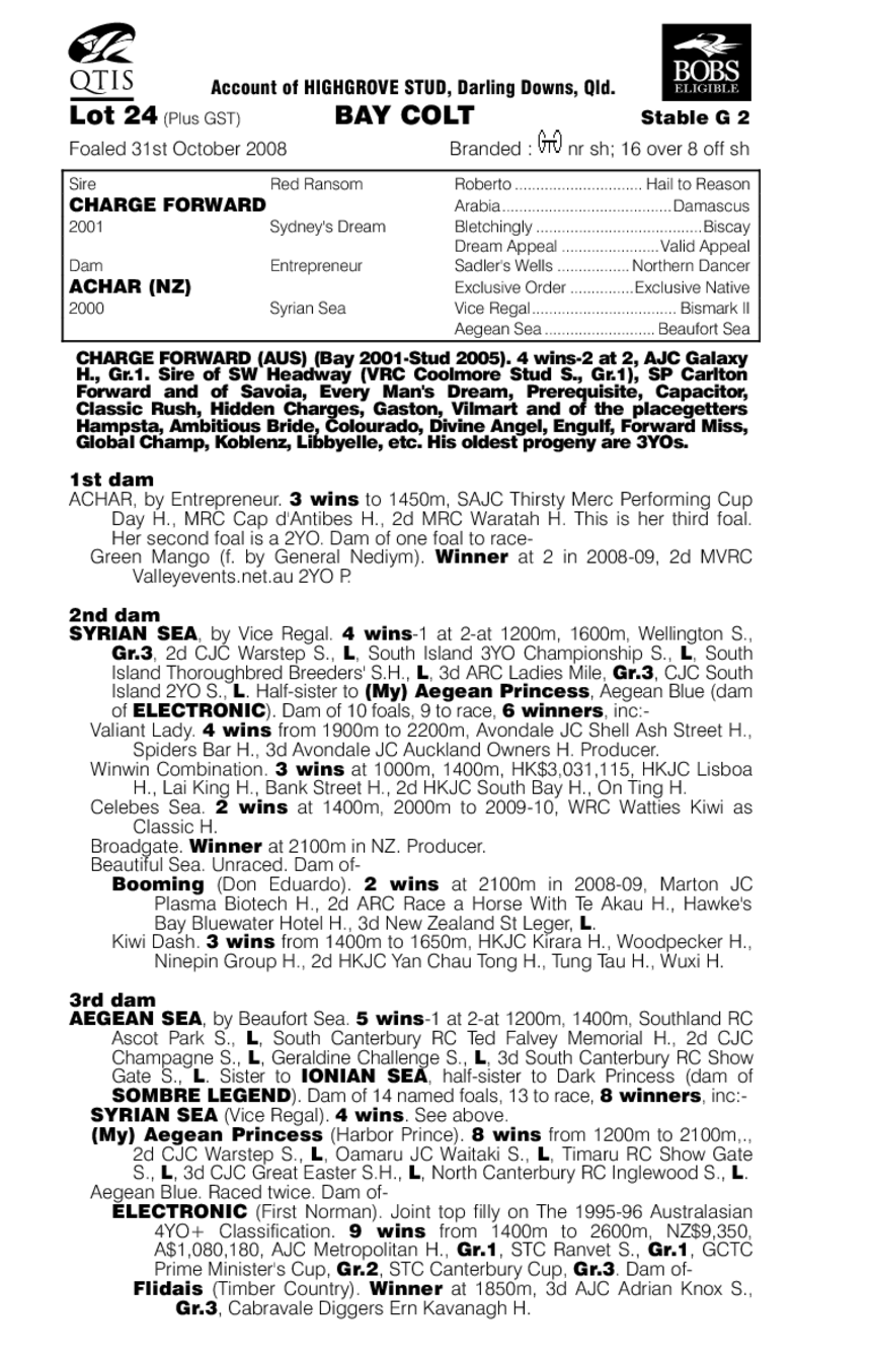 Wind In His Hair - pedigree