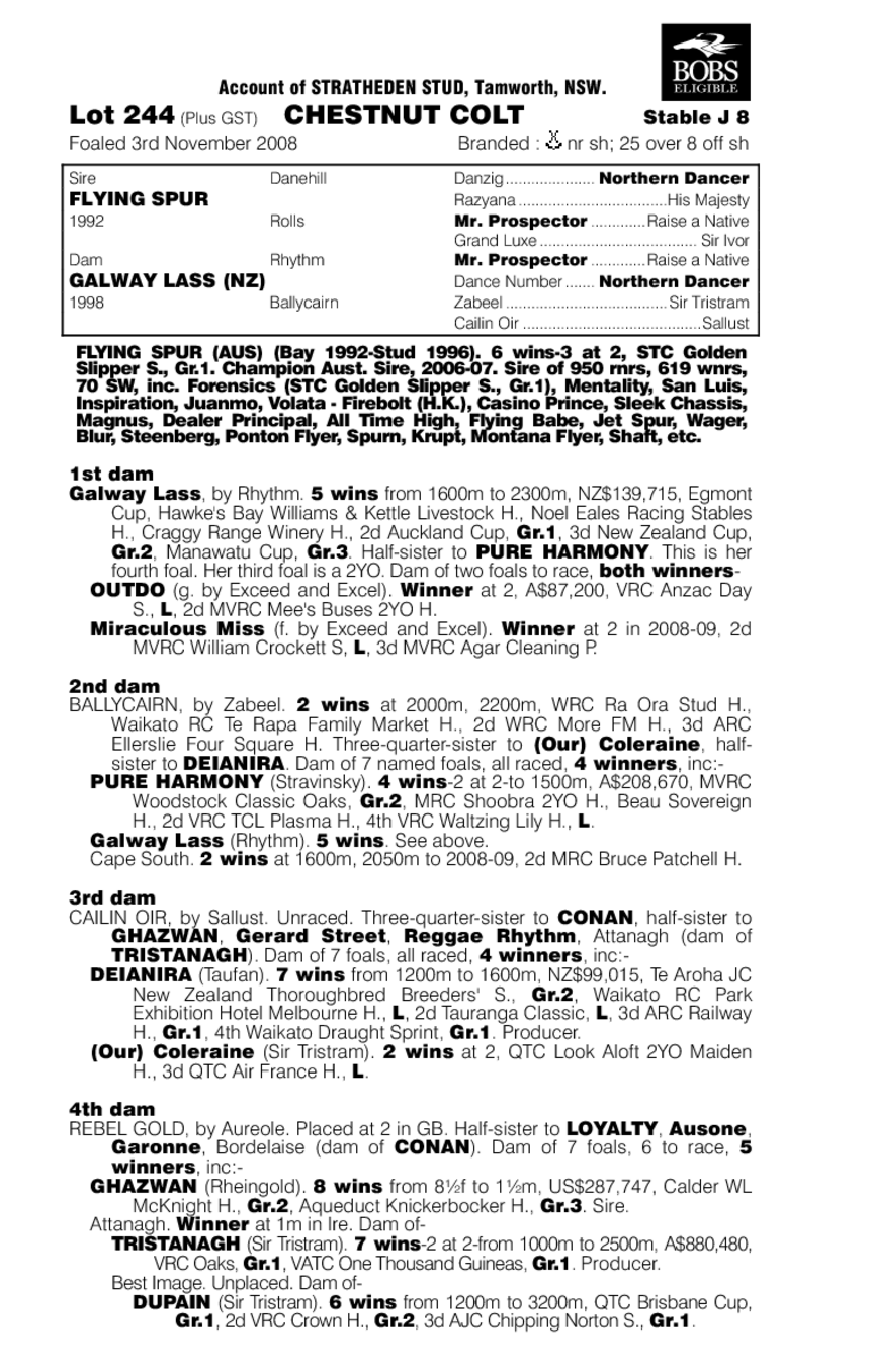 Galway Manor - pedigree