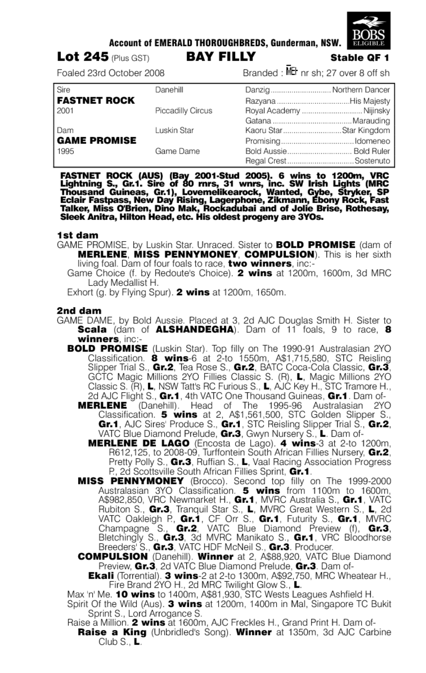 Promise To Rock - pedigree