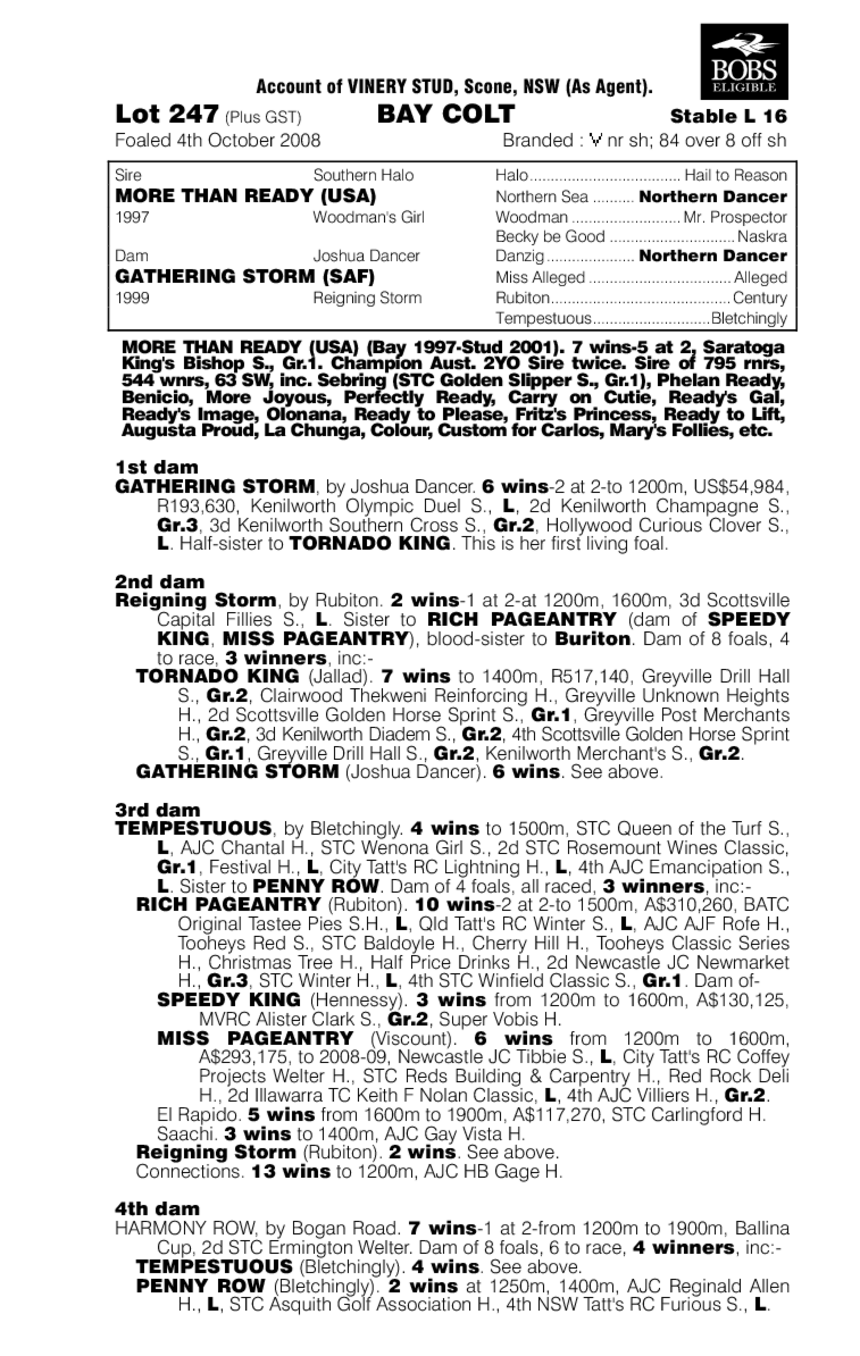 Eye Of The Storm - pedigree