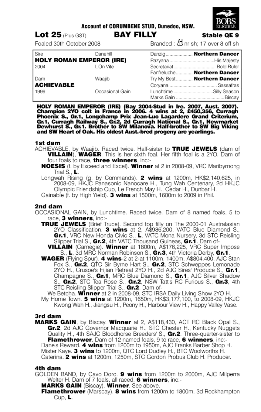 Funseeker - pedigree