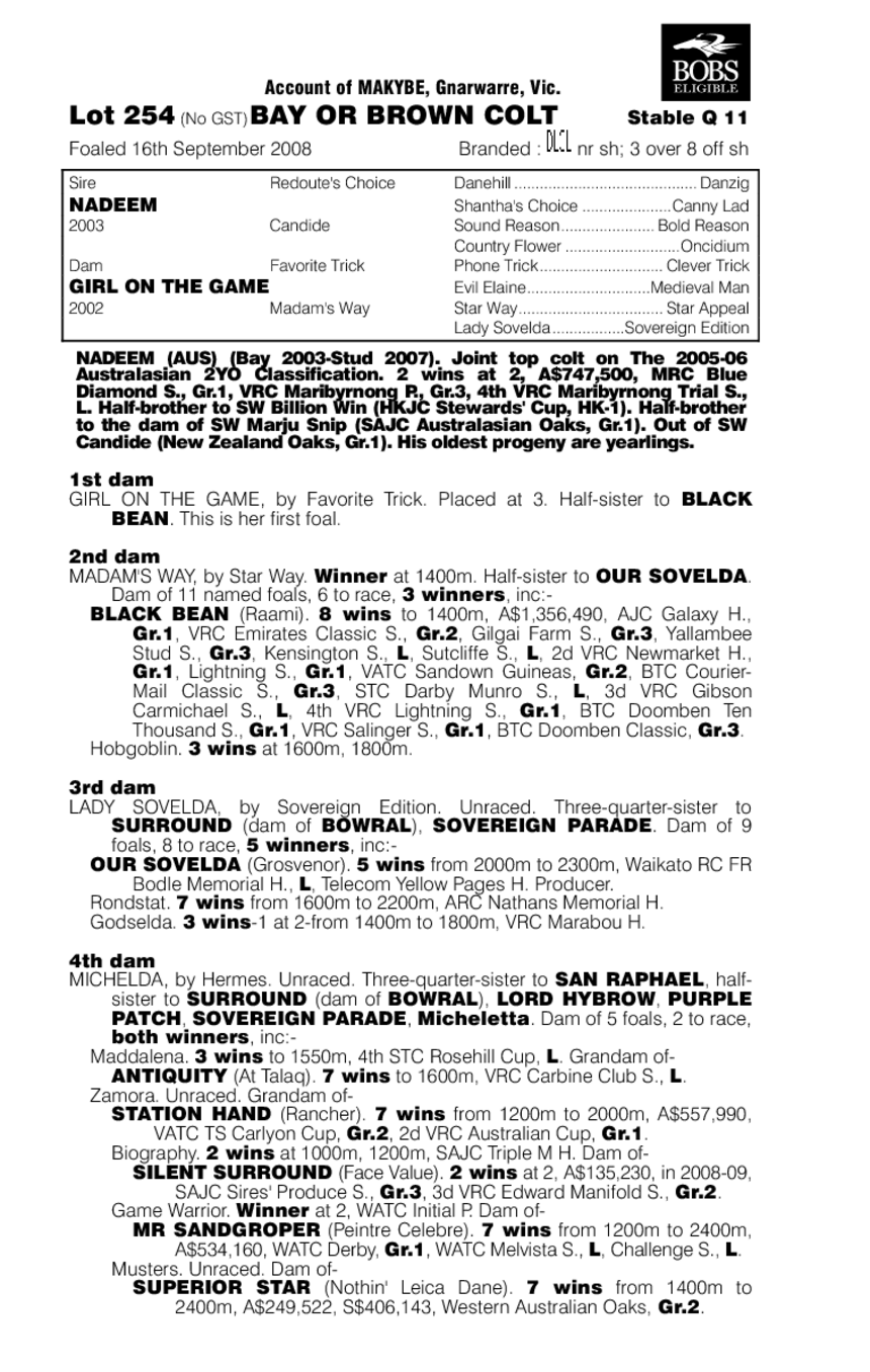 Man About Town - pedigree