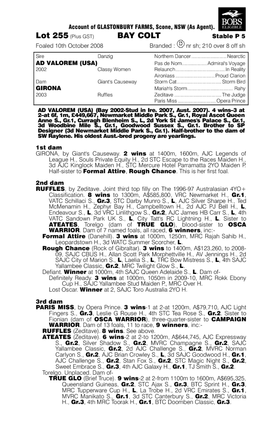 State Of Wealth - pedigree