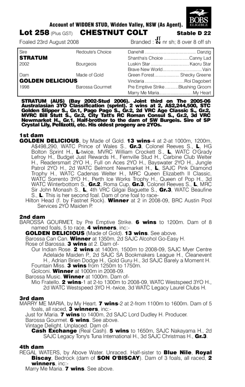 Straight Gold - pedigree