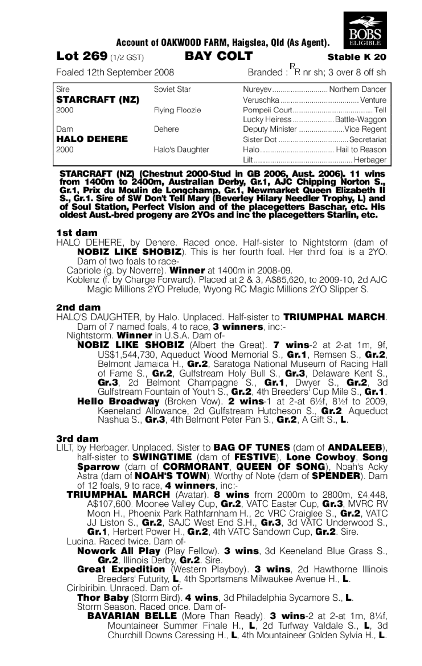 King Flight - pedigree