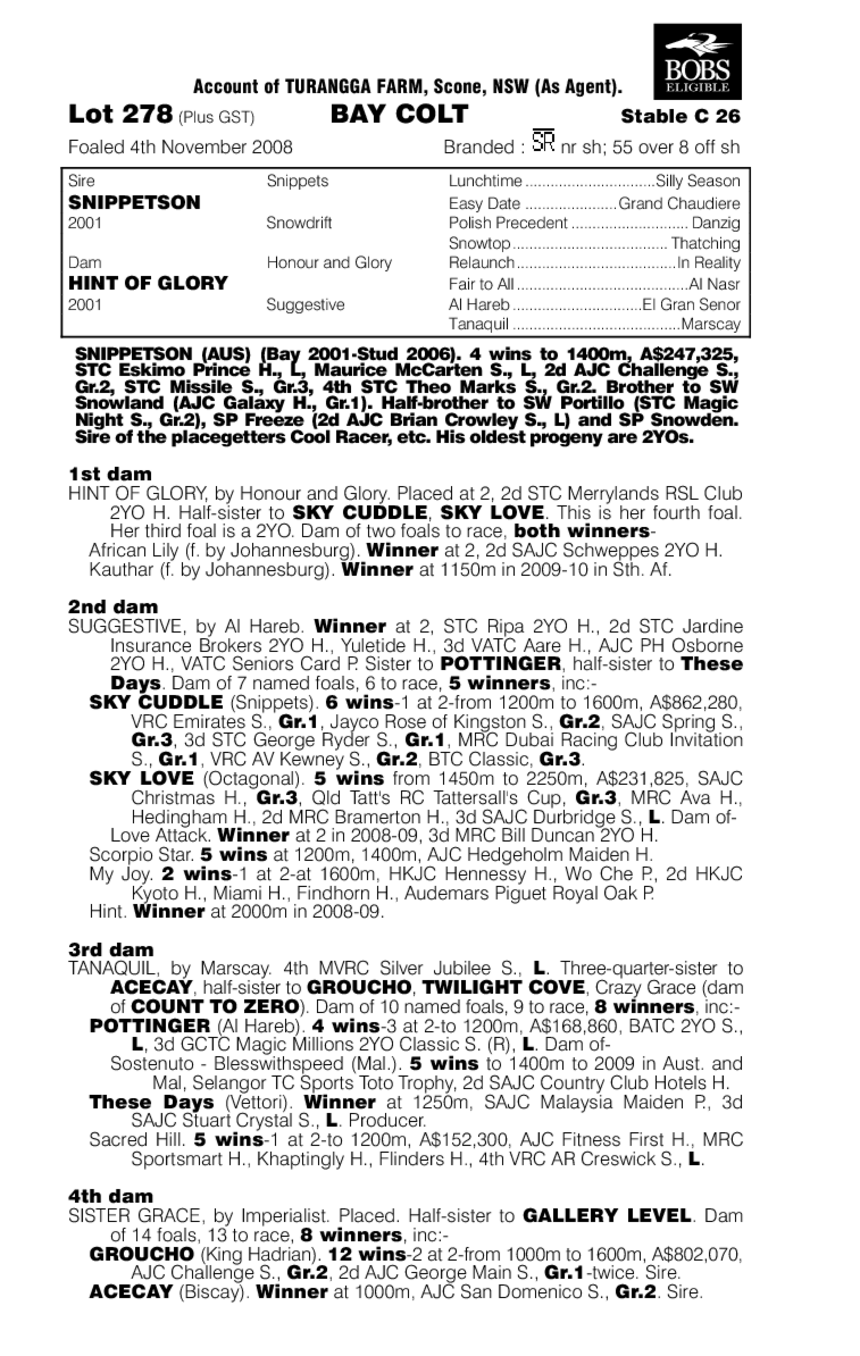 Snippets Of Glory - pedigree