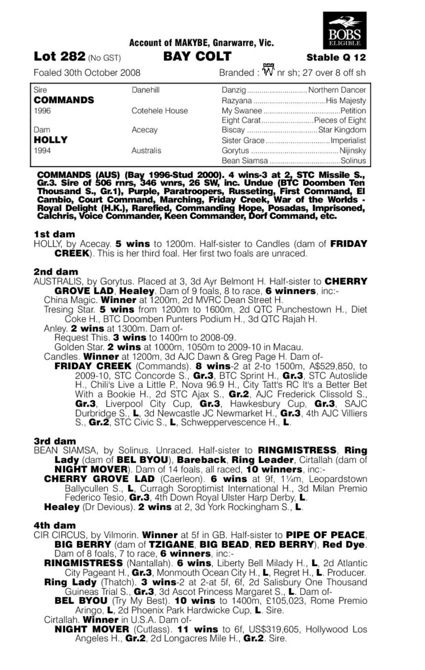 Buddy Boomtime - pedigree