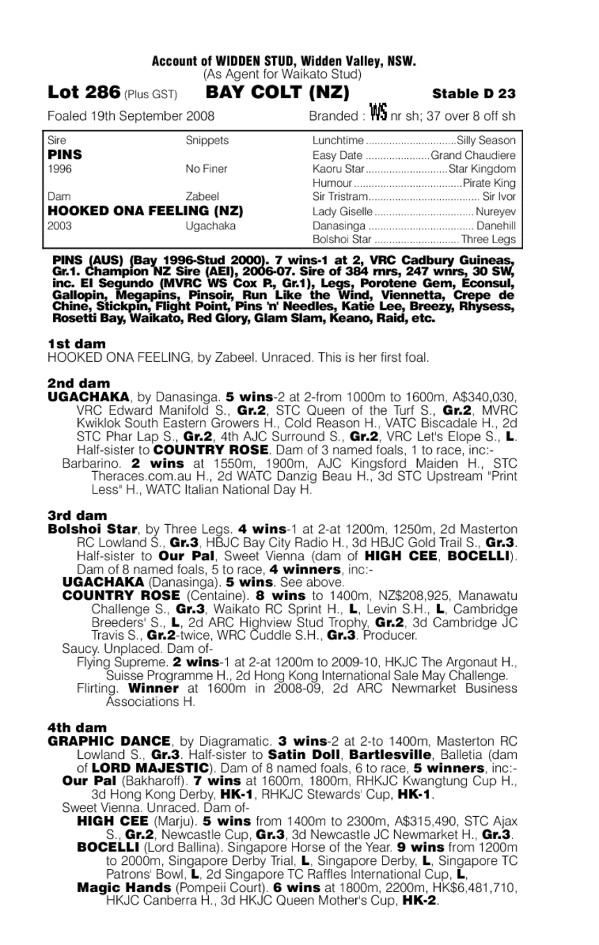 Pins (AUS) / Hooked Ona Feeling (NZ) - pedigree