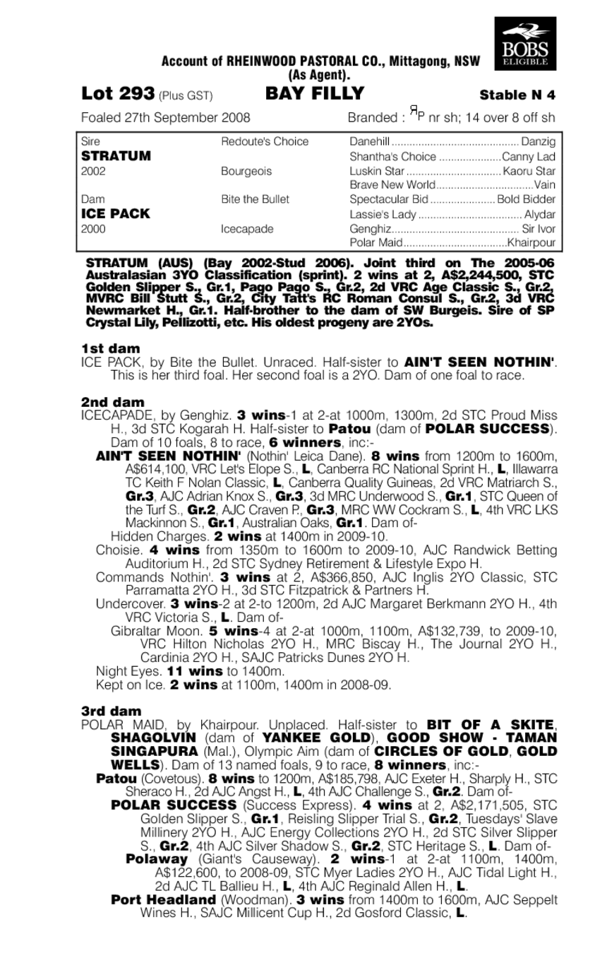 Raw Attitude - pedigree