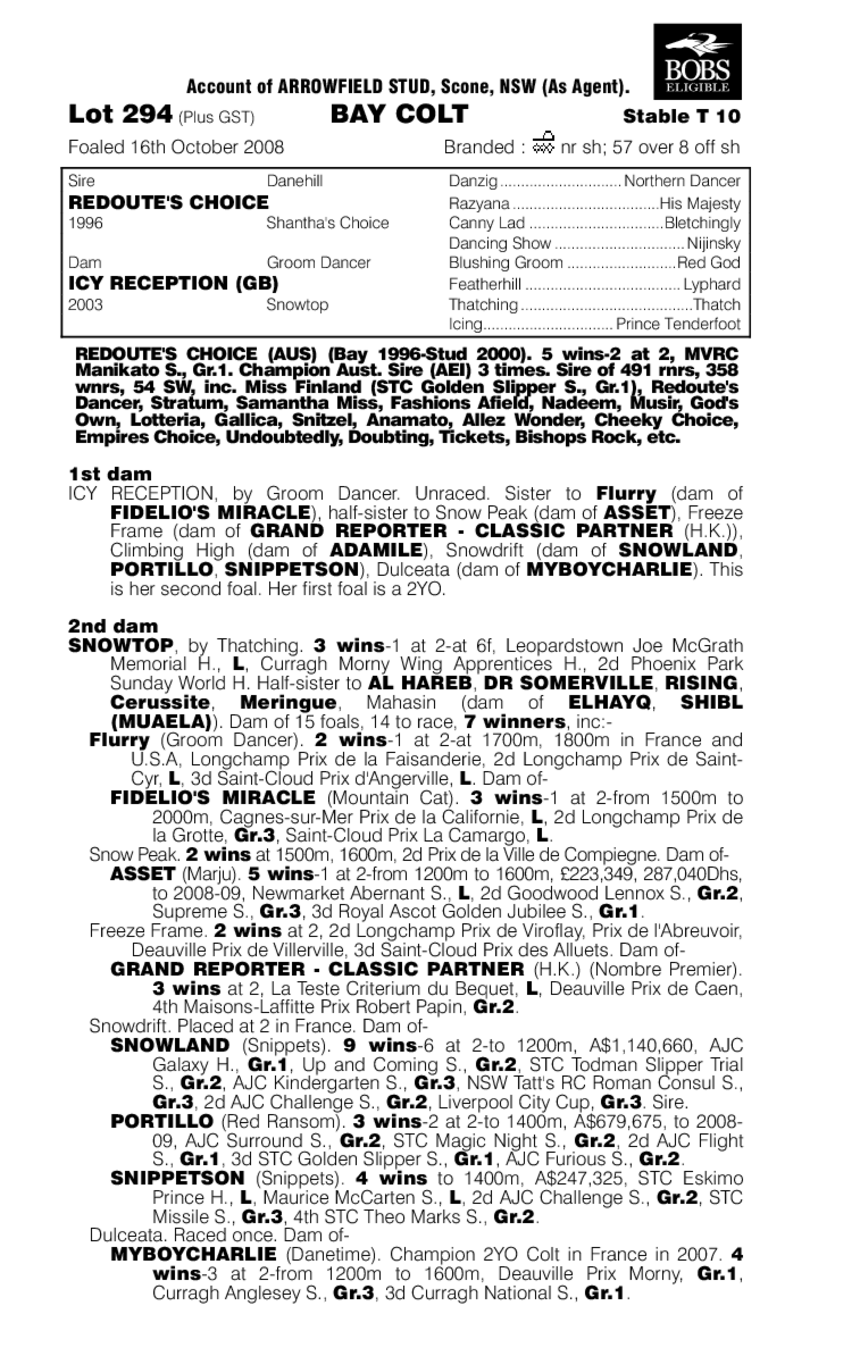 Kingdom Of War - pedigree