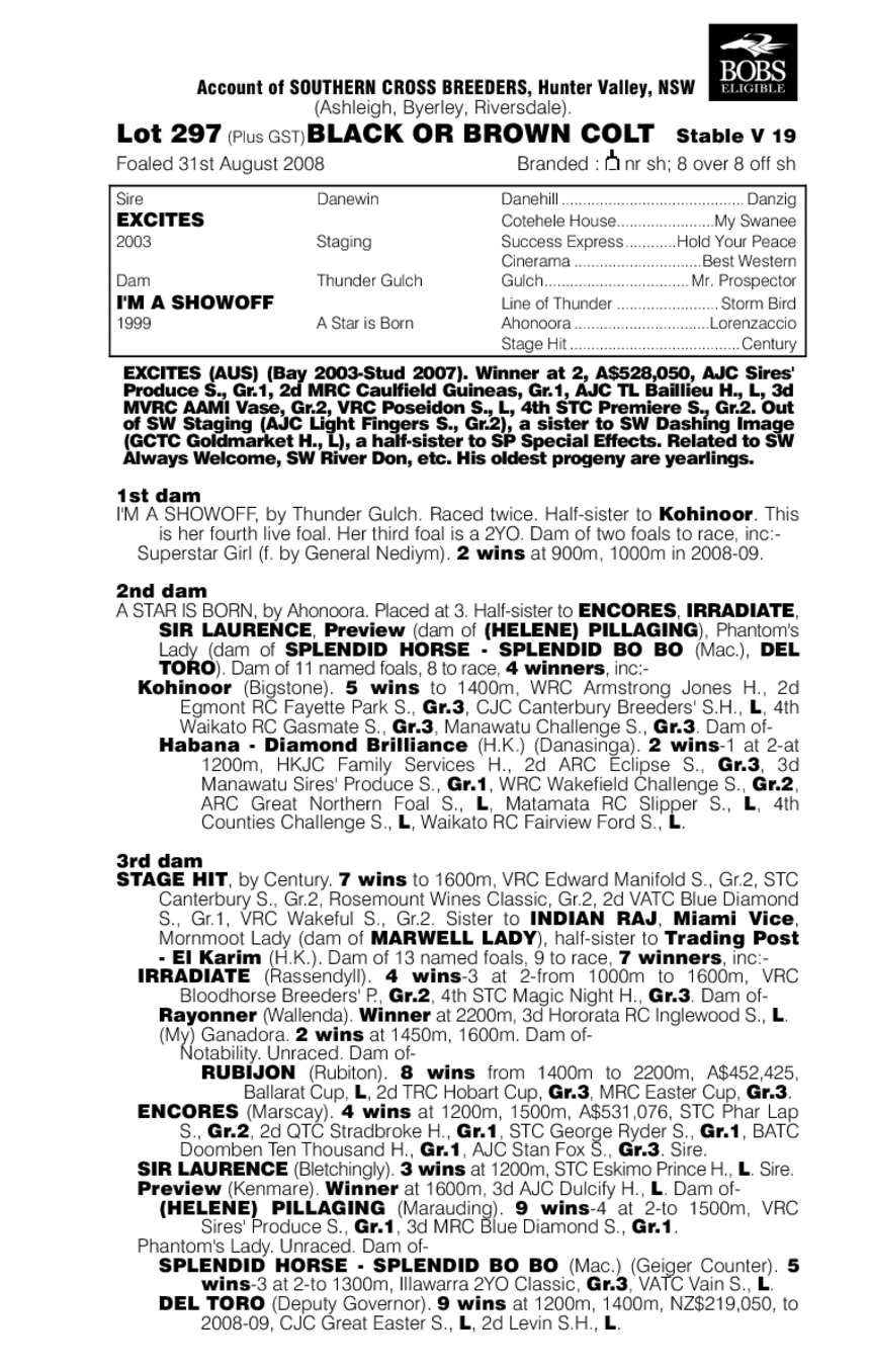 Black Jag - pedigree