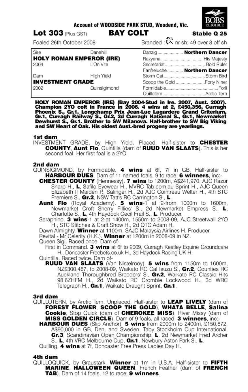 Harry's Horse - pedigree