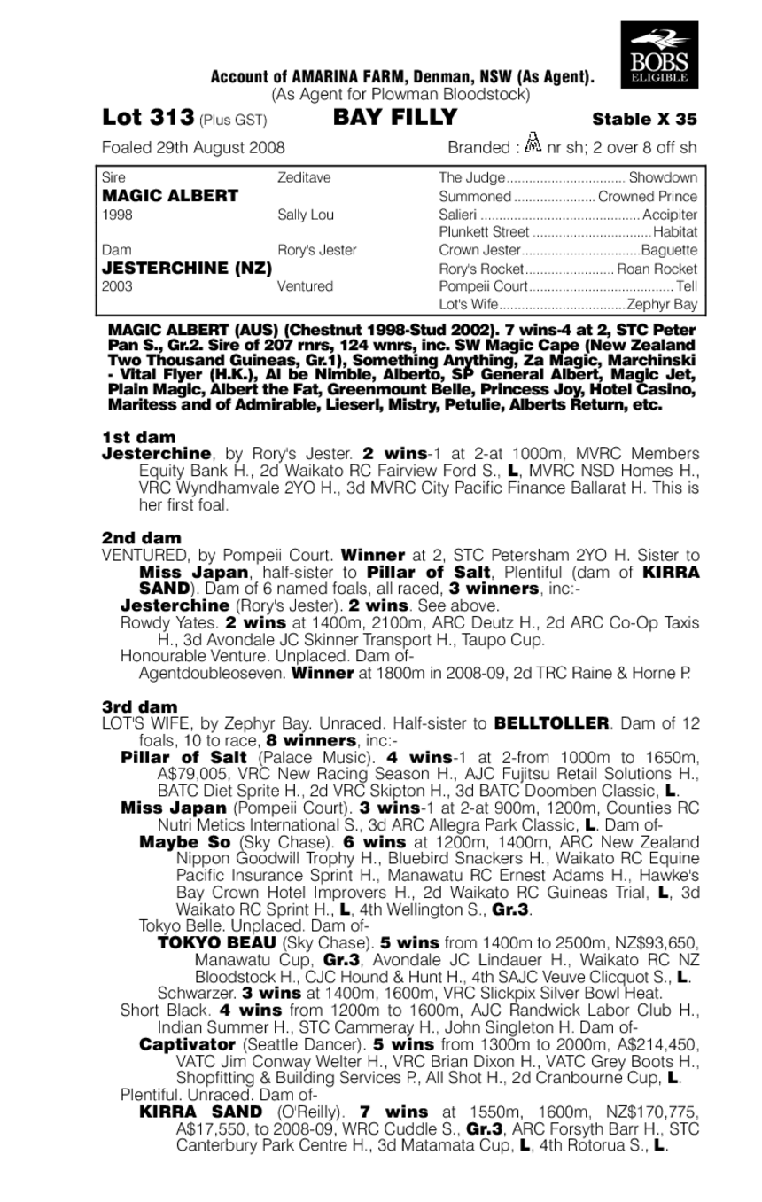 Miss Magic Chine - pedigree