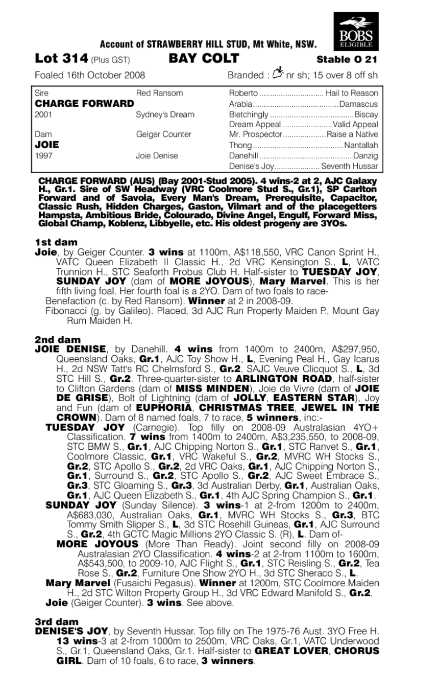 Phantom Philip - pedigree