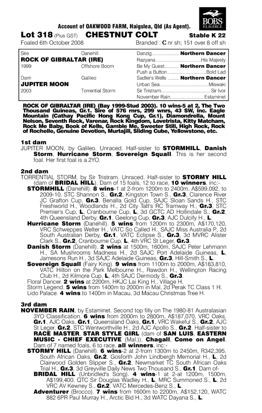 Rock The Pac - pedigree