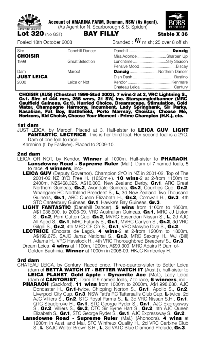 Break New Ground - pedigree