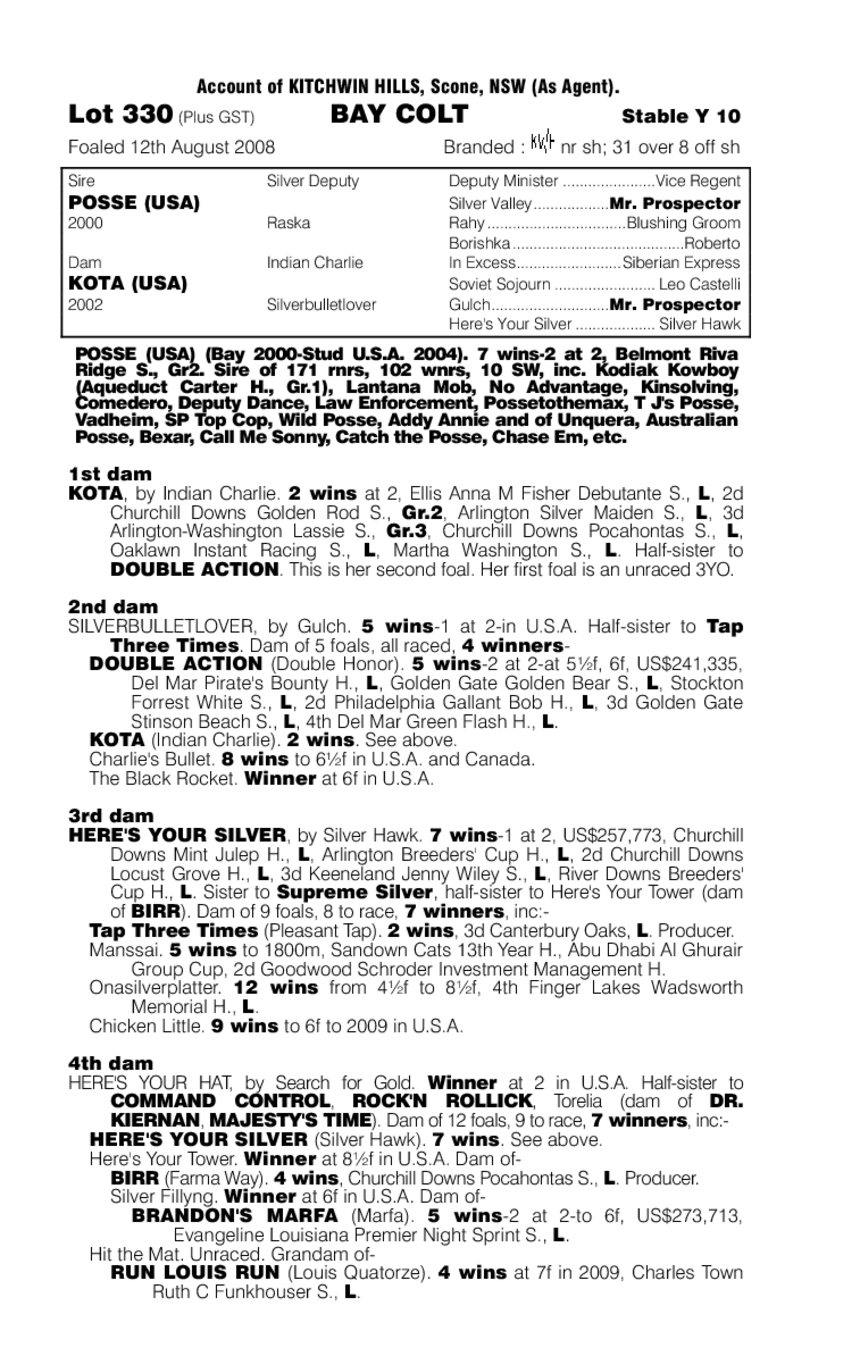 Posse Cat - pedigree