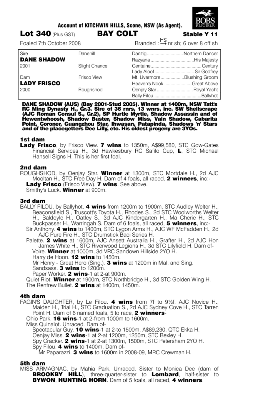 Mission Bay - pedigree