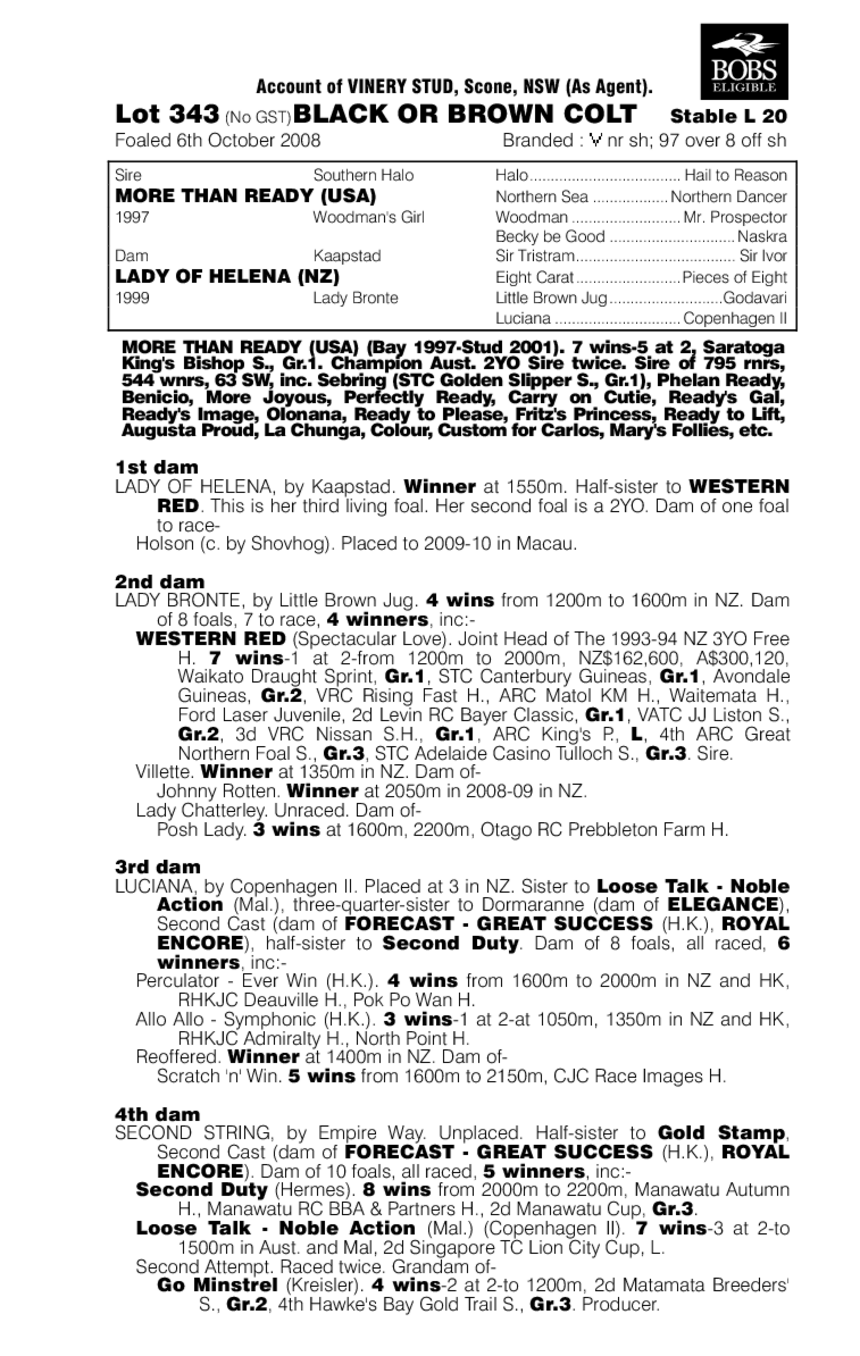 Ready For Sure - pedigree