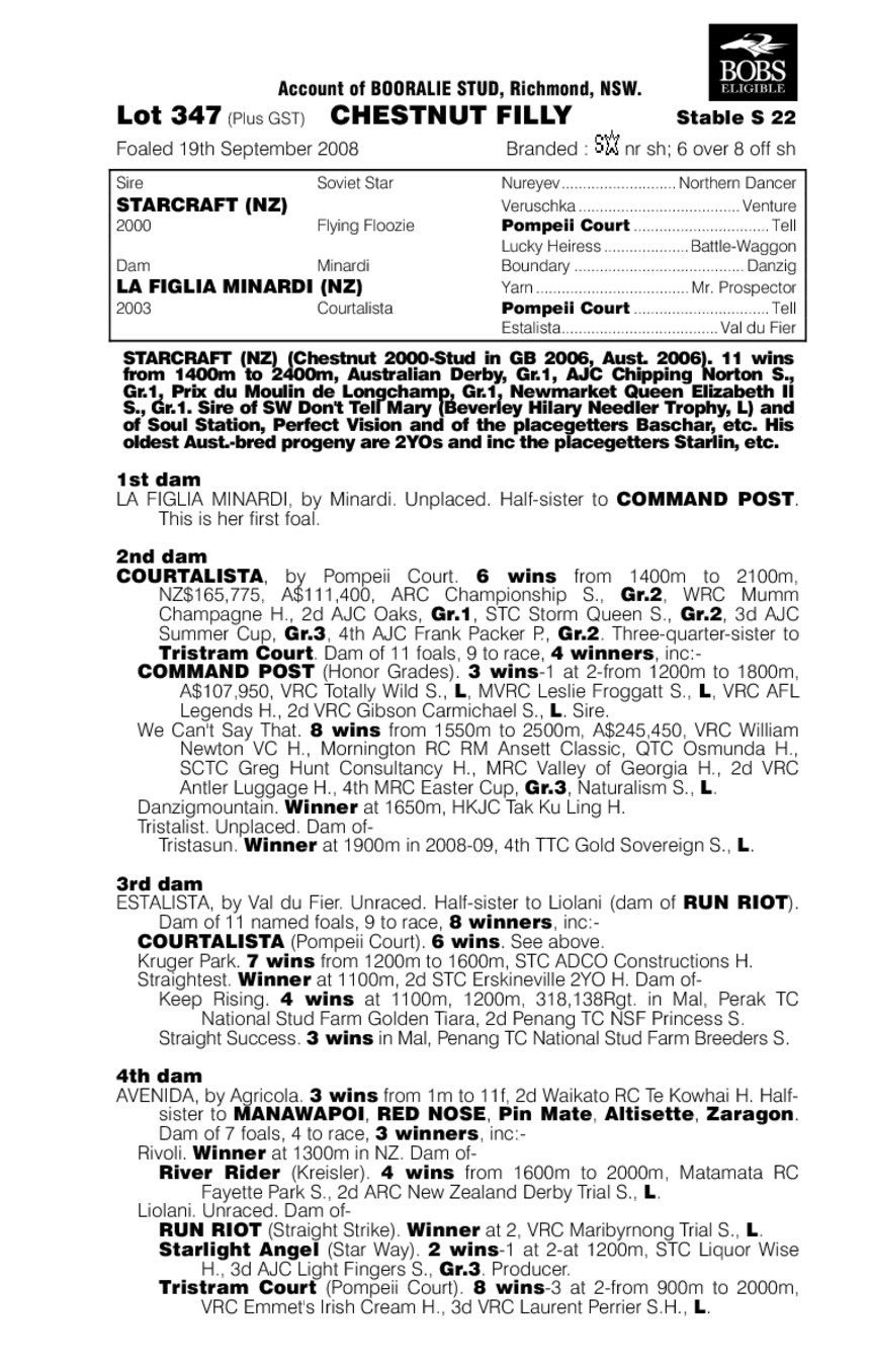 Giancarla - pedigree